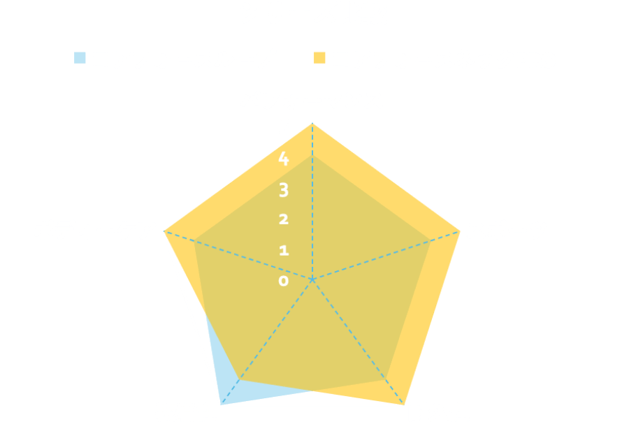 コアフォースネックプロ ブラックスピネル - コアフォース 公式 コアフォースネックプロ ブラックスピネル - コアフォース 公式
