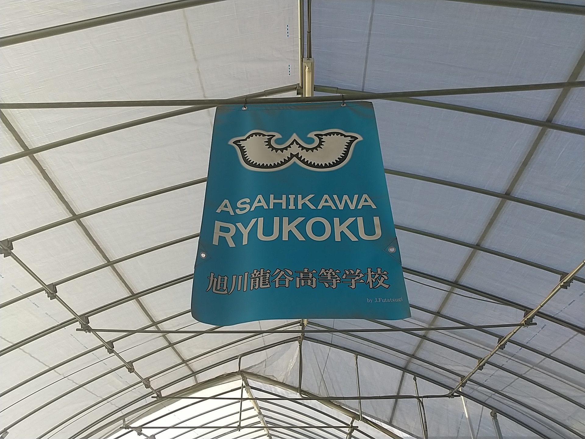 旭川龍谷高校駅伝部