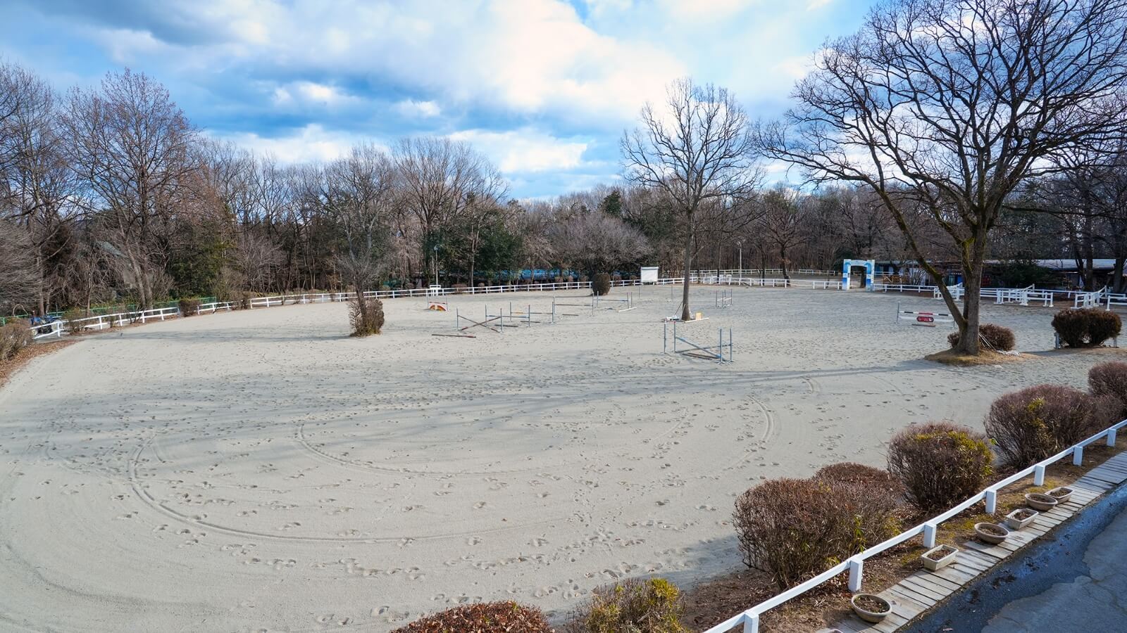 乗馬　馬術 広田　コアフォース